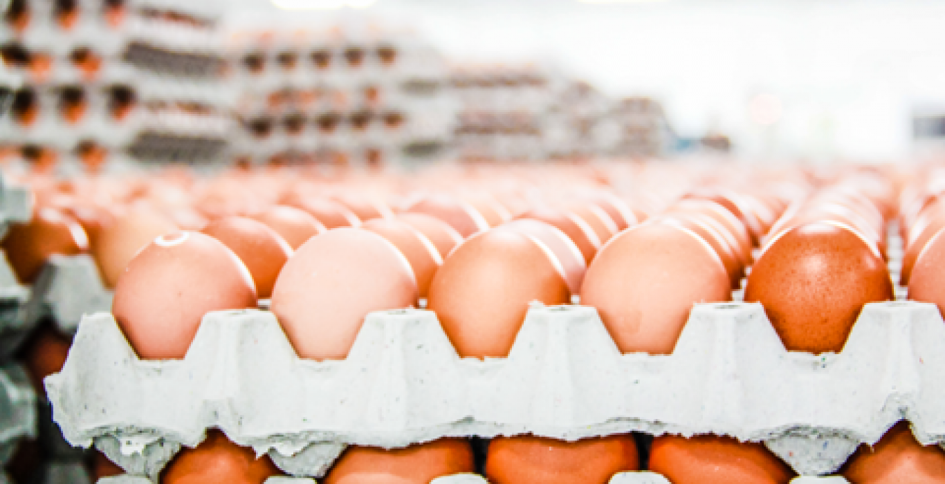 Canada has more data about eggs than it does about charities