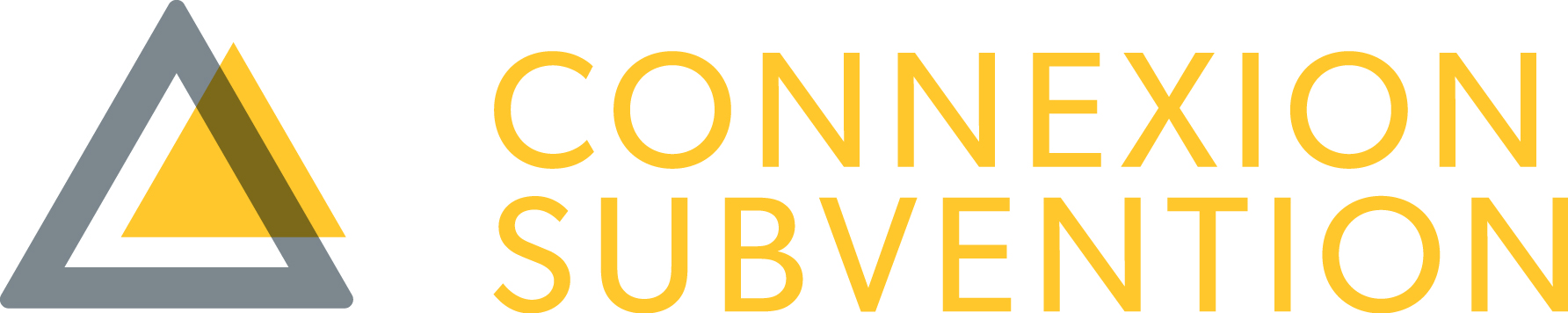 Logo connexion subvention colour