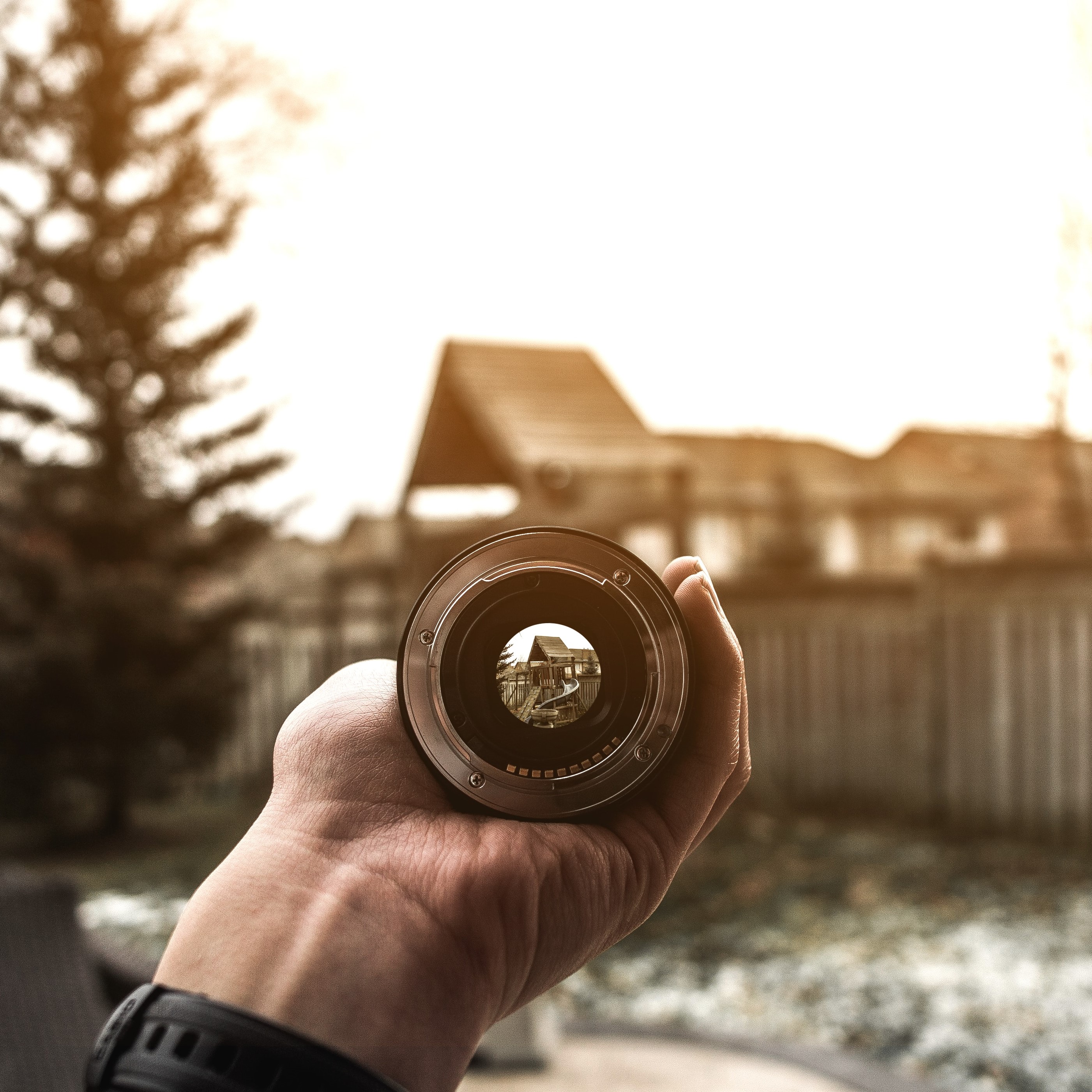 A Federal Policy Lens image