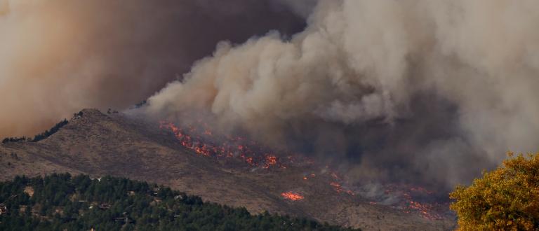 Image of forest on fire with lots of smoke.