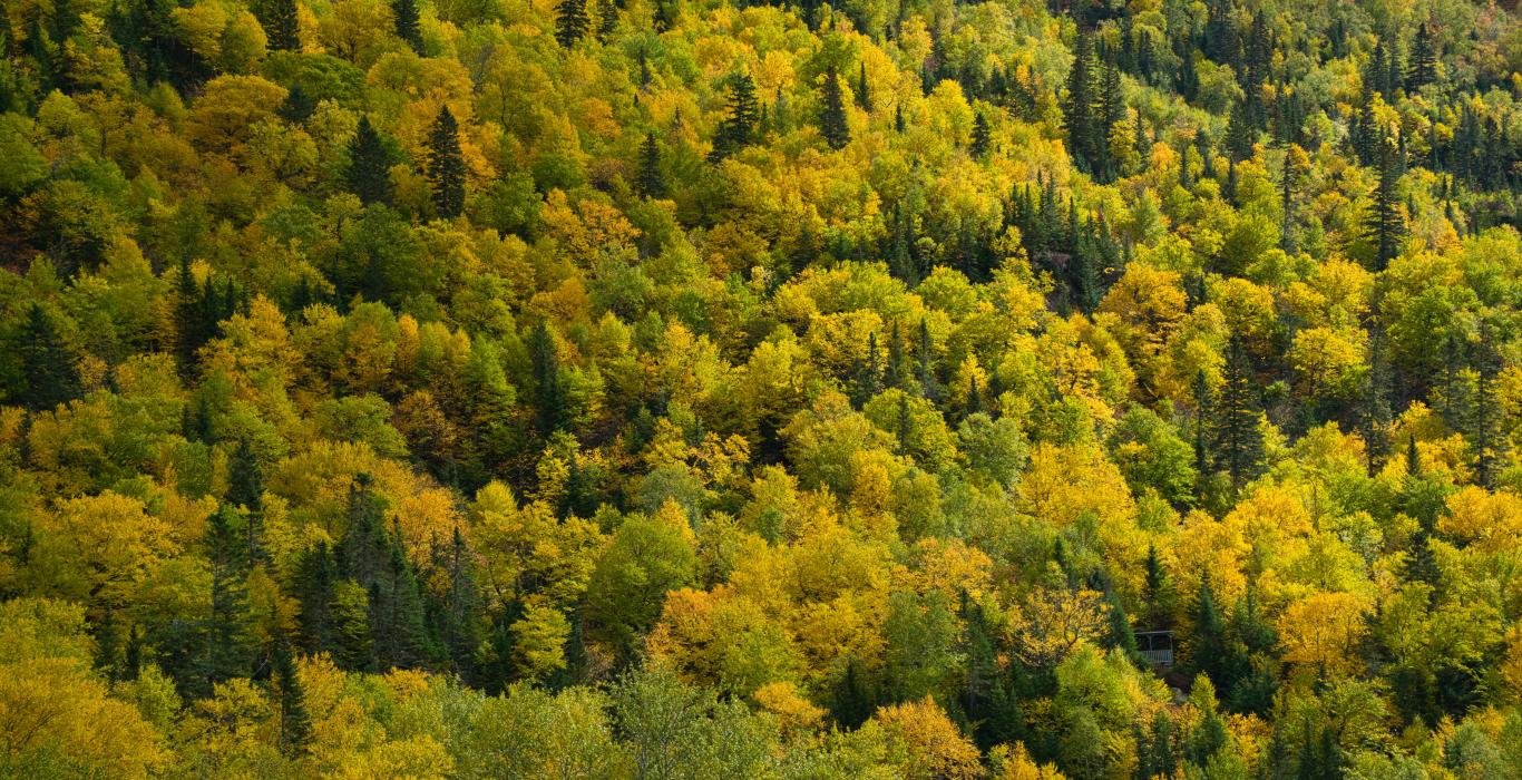 Parc national des hautes gorges de la rivière malbaie
