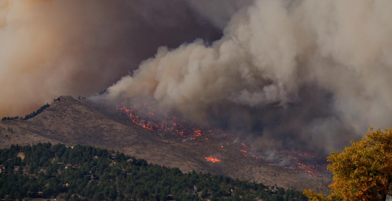 Image of forest on fire with lots of smoke.