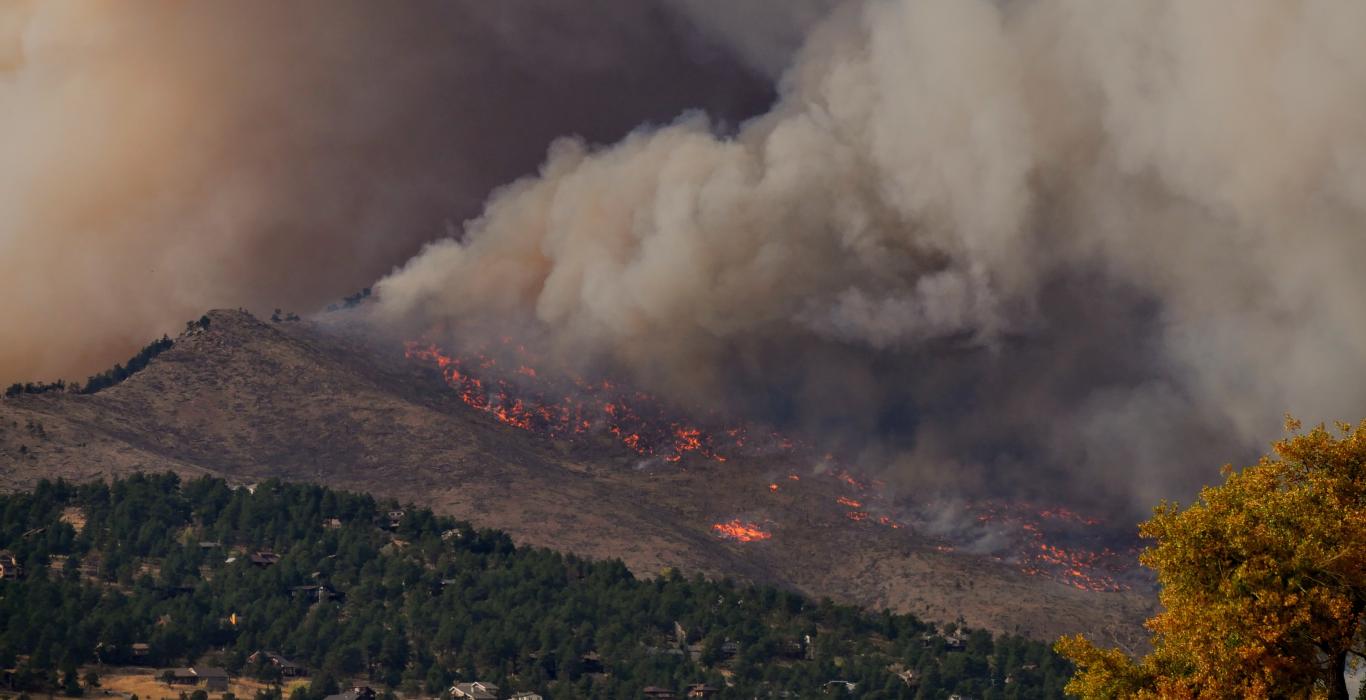 Photo of forest fire and lots of smoke