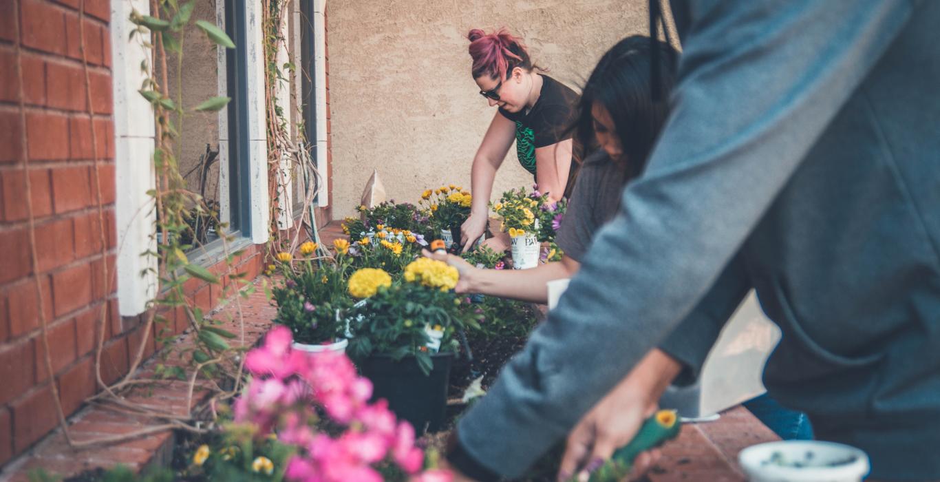Group of people planting flowers