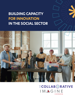 Building capacity for innovation in the social sector